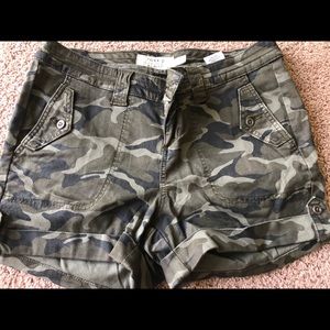 Torrid cameo shorts! NWOT